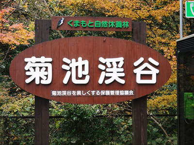 紅葉狩り 菊池市の観光スポット紹介(菊池渓谷編)_a0254656_18144924.jpg