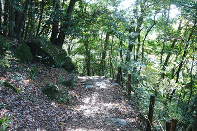 紅葉狩り 菊池市の観光スポット紹介(菊池渓谷編)_a0254656_1829865.jpg