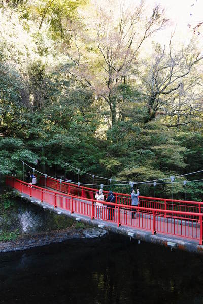 紅葉狩り　菊池市の観光スポット紹介（菊池渓谷編）_a0254656_18493717.jpg