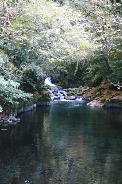 紅葉狩り 菊池市の観光スポット紹介(菊池渓谷編)_a0254656_18571448.jpg