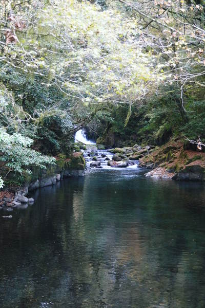 紅葉狩り　菊池市の観光スポット紹介（菊池渓谷編）_a0254656_18571448.jpg