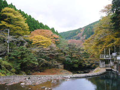 紅葉狩り　菊池市の観光スポット紹介（菊池渓谷編）_a0254656_18591523.jpg