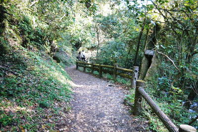 紅葉狩り　菊池市の観光スポット紹介（菊池渓谷編）_a0254656_1920071.jpg