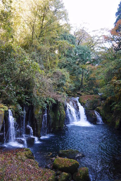 紅葉狩り　菊池市の観光スポット紹介（菊池渓谷編）_a0254656_19253535.jpg