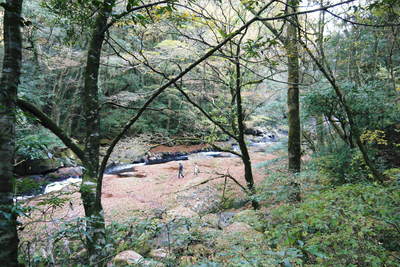 紅葉狩り 菊池市の観光スポット紹介(菊池渓谷編)_a0254656_19384024.jpg