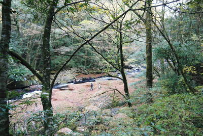 紅葉狩り　菊池市の観光スポット紹介（菊池渓谷編）_a0254656_19384024.jpg