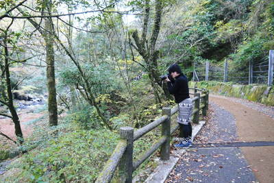紅葉狩り 菊池市の観光スポット紹介(菊池渓谷編)_a0254656_1940844.jpg