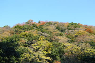 紅葉狩り　菊池市の観光スポット紹介（菊池渓谷編）_a0254656_19505798.jpg