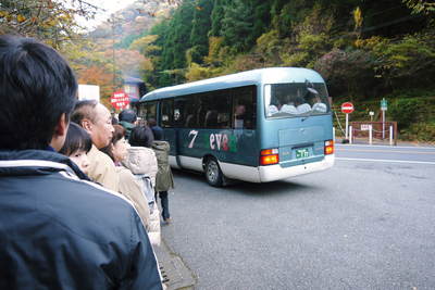 紅葉狩り　菊池市の観光スポット紹介（菊池渓谷編）_a0254656_19551653.jpg