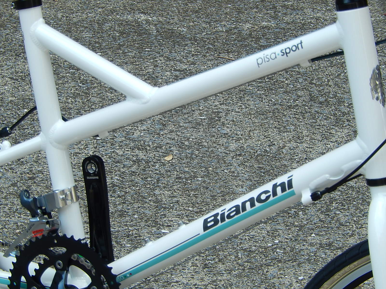 Bianchi　PISA　SPORT　Flat_e0188759_16214347.jpg