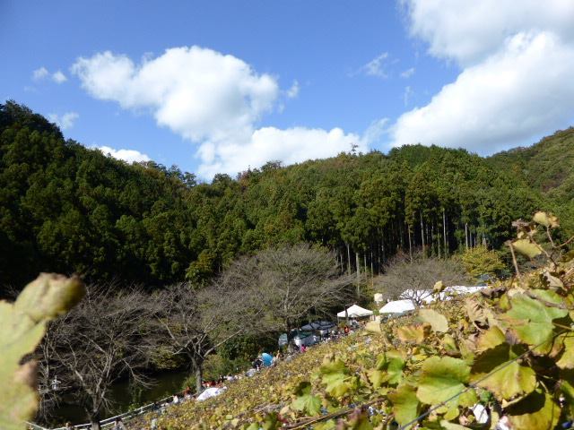 c0100865_08083863.jpg