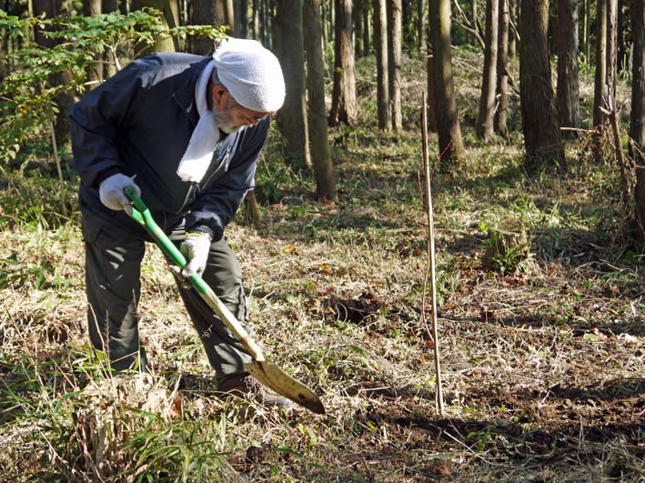 14年もイロハモミジ、ヤマザクラを六国見山に植樹11・14_c0014967_21363791.jpg