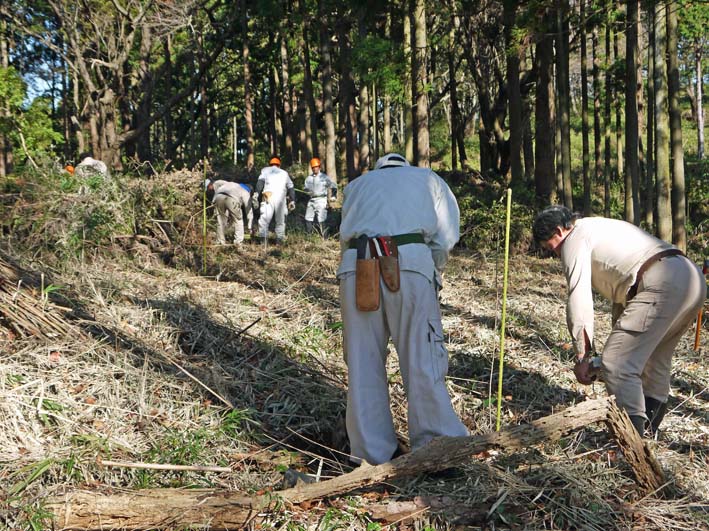 14年もイロハモミジ、ヤマザクラを六国見山に植樹11・14_c0014967_21372295.jpg