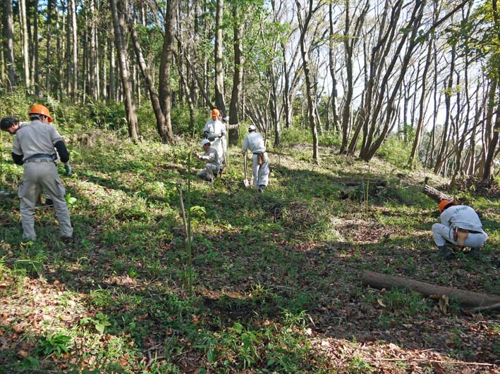 14年もイロハモミジ、ヤマザクラを六国見山に植樹11・14_c0014967_21373273.jpg
