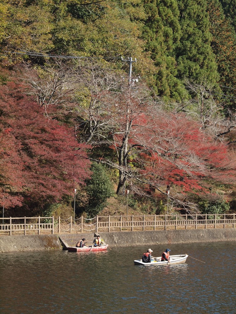 伊自良湖の紅葉とワカサギ釣りの光景 自然風の自然風だより