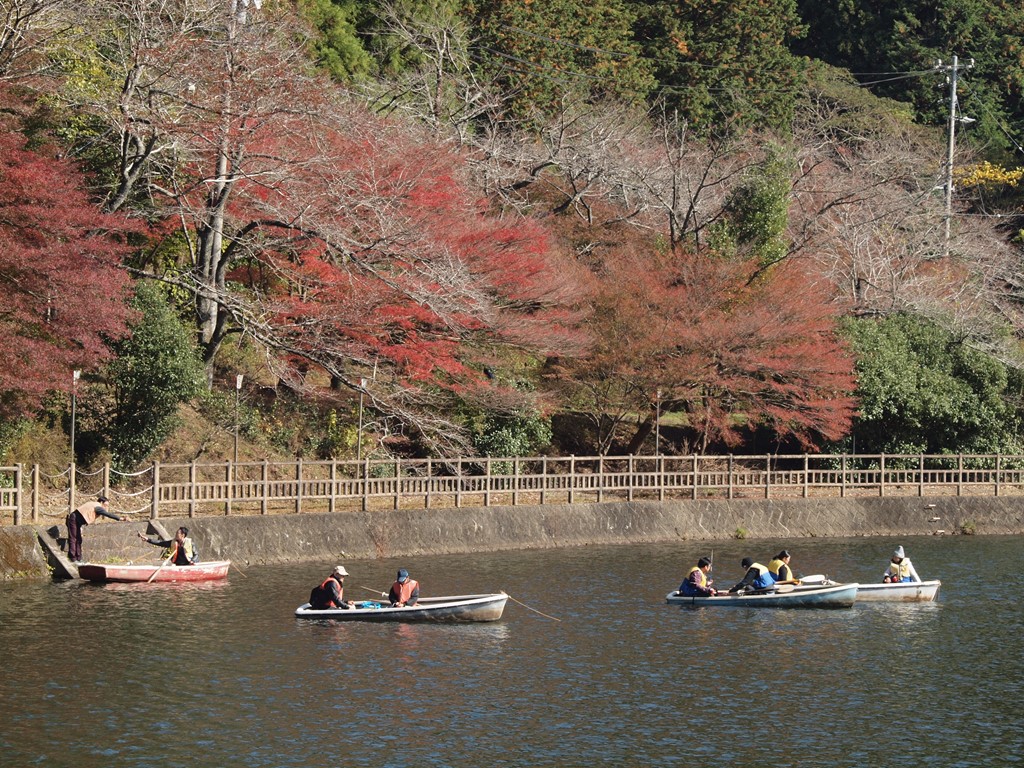 伊自良湖の紅葉とワカサギ釣りの光景 自然風の自然風だより 伊自良湖の紅葉とワカサギ釣りの光景 自然風の自然風だより
