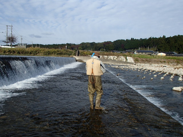 員弁川ガイドサービス ブラウンなトラウト 員弁川ガイドサービス ブラウンなトラウト
