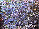 画室1と画室2_e0045977_19513247.jpg