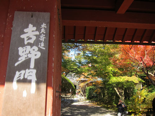 吉野太夫(よしのだゆう)_a0045381_08133863.jpg