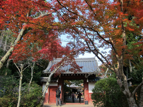 吉野太夫(よしのだゆう)_a0045381_08215763.jpg