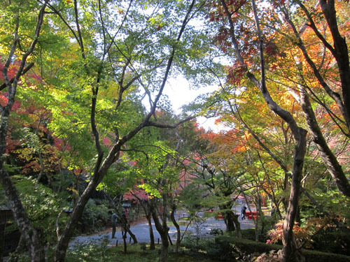 吉野太夫(よしのだゆう)_a0045381_08251104.jpg