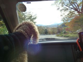 ２０１４年１１月１６日　　　寒いけどね_b0098584_19413347.jpg