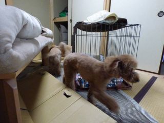 ２０１４年１１月１６日　　　寒いけどね_b0098584_1942103.jpg
