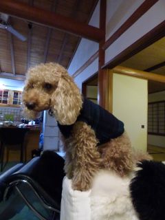 ２０１４年１１月１６日　　　寒いけどね_b0098584_19423611.jpg