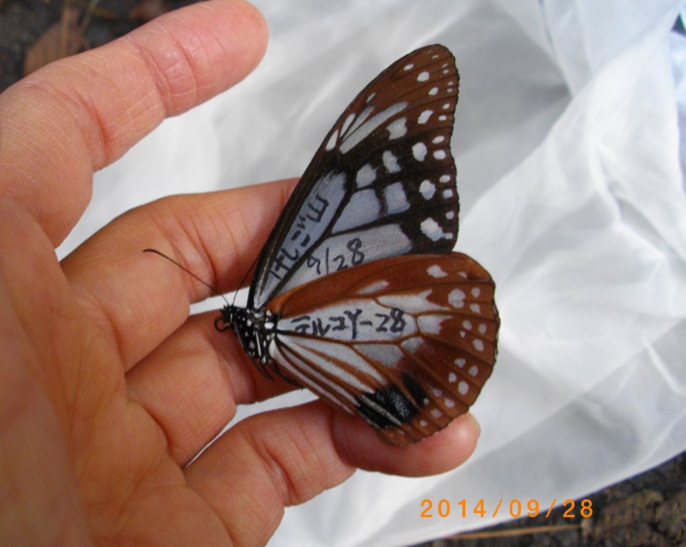 f0346184_21455137.jpg