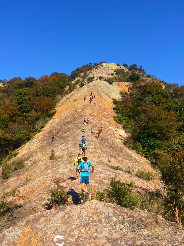Happy Mountain Life in Ono Alps 2014/11/16_b0220886_17544539.jpg