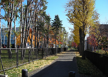 f0078286_923356.jpg