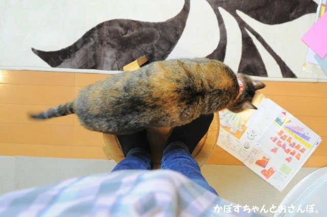 三者三様_a0126590_23172284.jpg