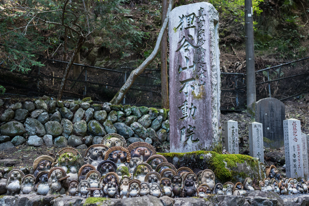Salsaと巡る京都の旅_f0144394_19143849.jpg