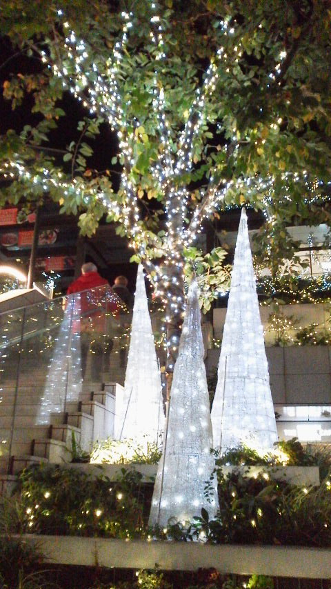 c0177198_23454697.jpg