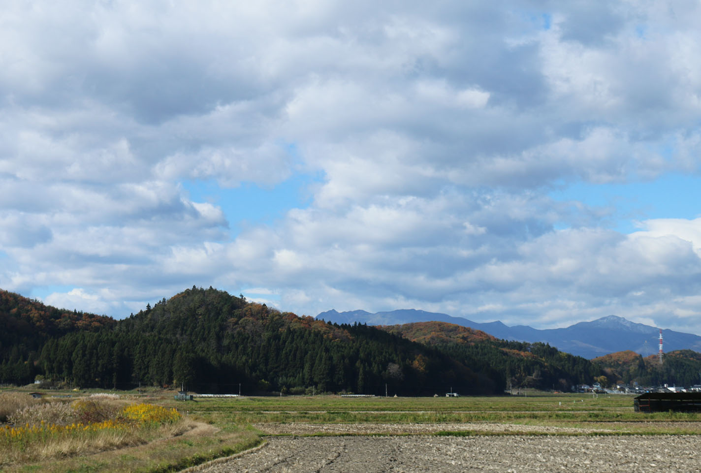 昨日から。。。_c0140599_11331882.jpg
