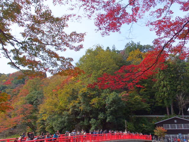 a0271502_15132912.jpg