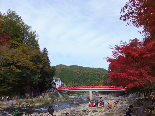 a0271502_1522450.jpg