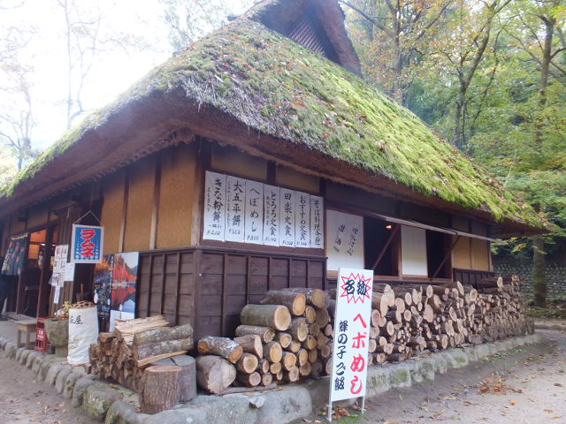 a0271502_15425792.jpg