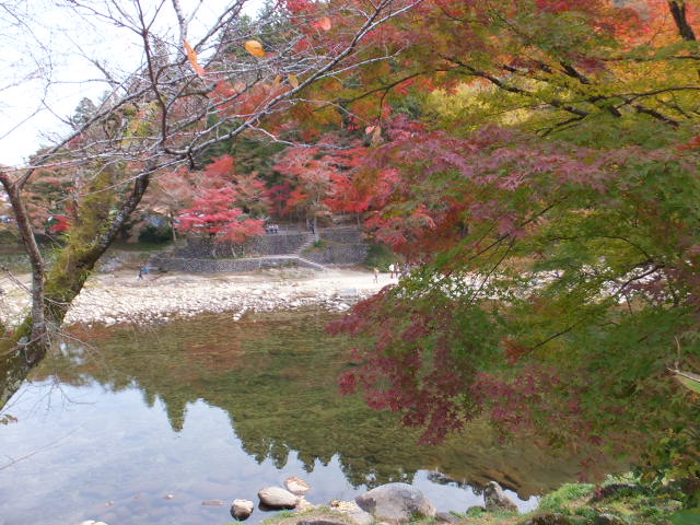 a0271502_15534538.jpg
