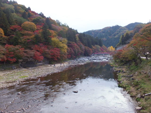 a0271502_15543829.jpg