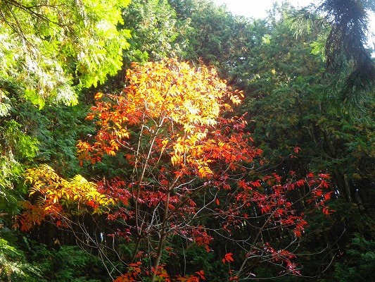 f0187402_2117104.jpg