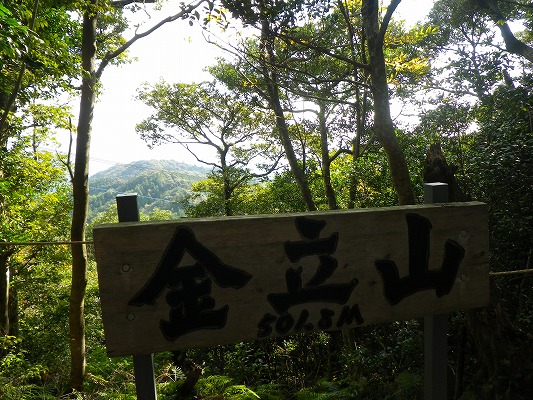 f0187402_21204090.jpg