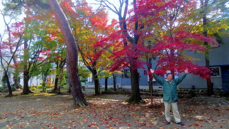 八幡宮紅葉_b0163804_1451155.jpg