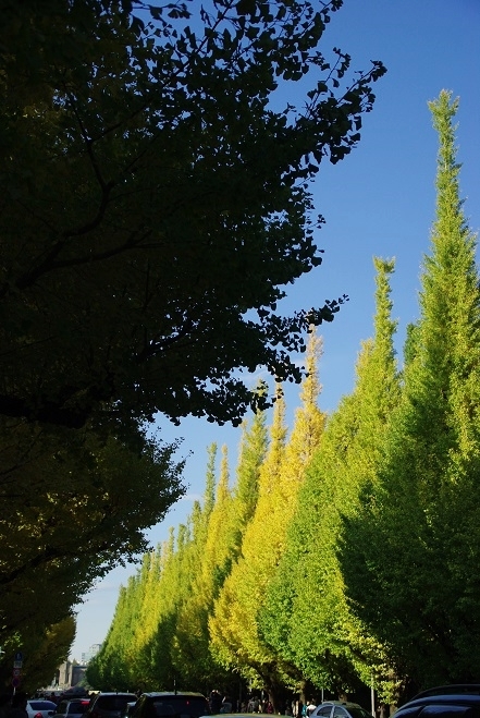 f0038904_08112780.jpg