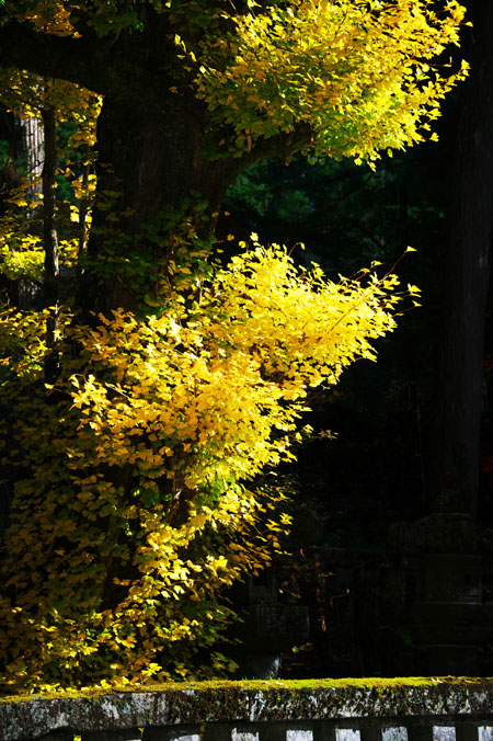 a0263109_2041485.jpg