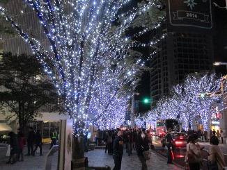 今年も、街はイルミネーション!_d0091909_11314443.jpg