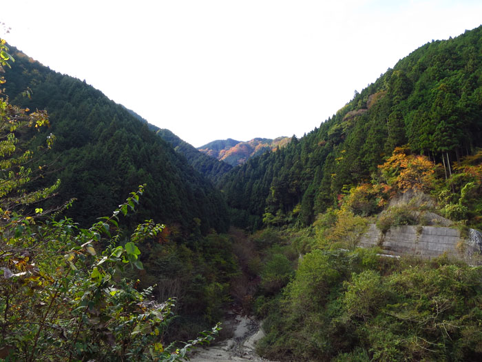 e0077010_7335069.jpg