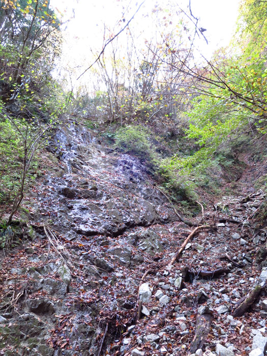 e0077010_742466.jpg