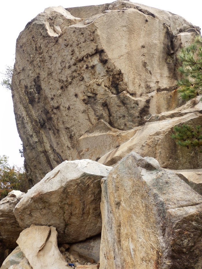 f0219710_6542442.jpg