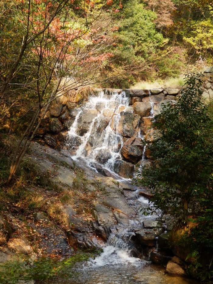 f0219710_773582.jpg